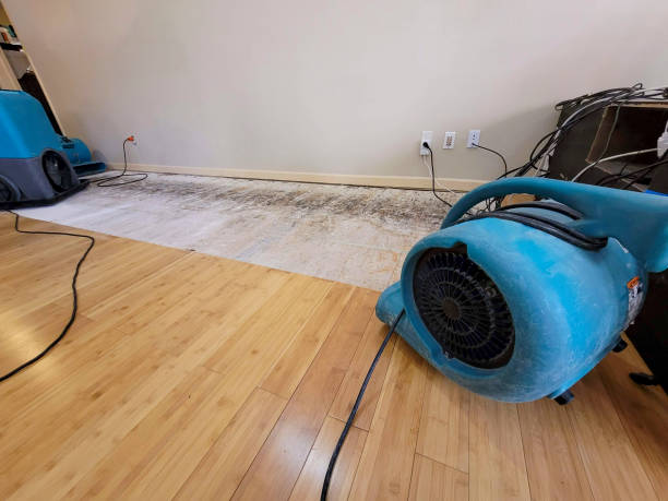 Professional Sewage Cleanup technician working in Copake Falls, NY